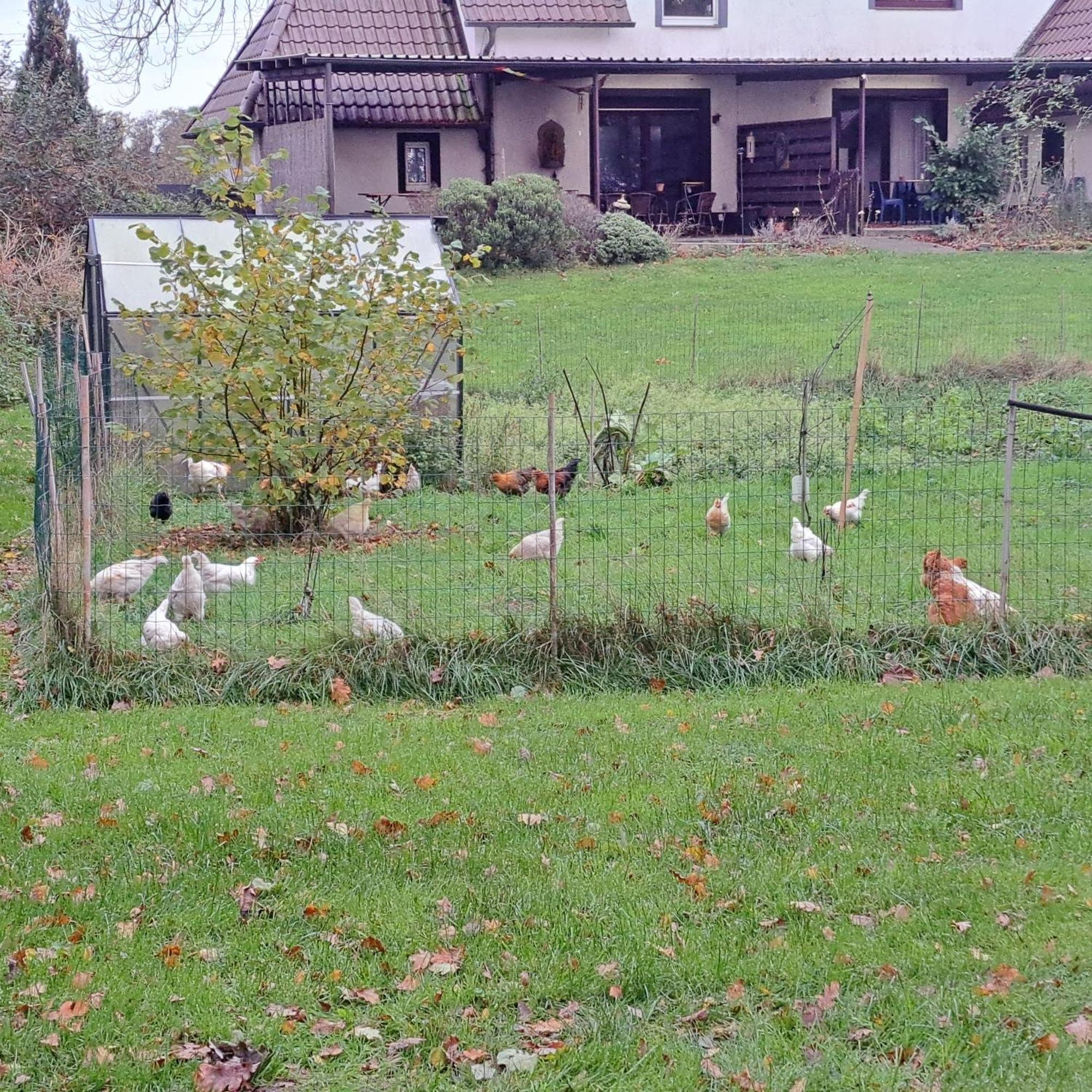 Lovely House In The Countryside By Nordhorn Extérieur photo